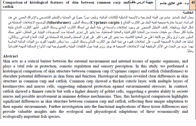 Comparison of histological features of skin between common carp and catfish