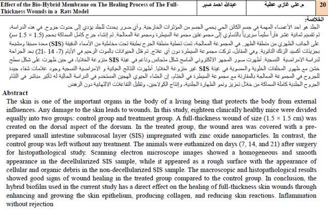 Effect of the Bio Hybrid Membrane on The Healing Process of The Full Thickness Wounds in a Rats Model