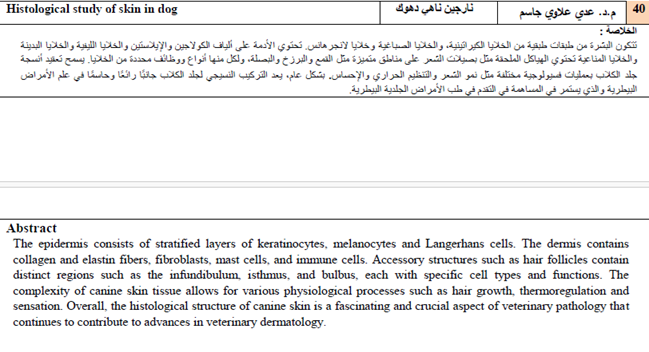 Histological study of skin in dog