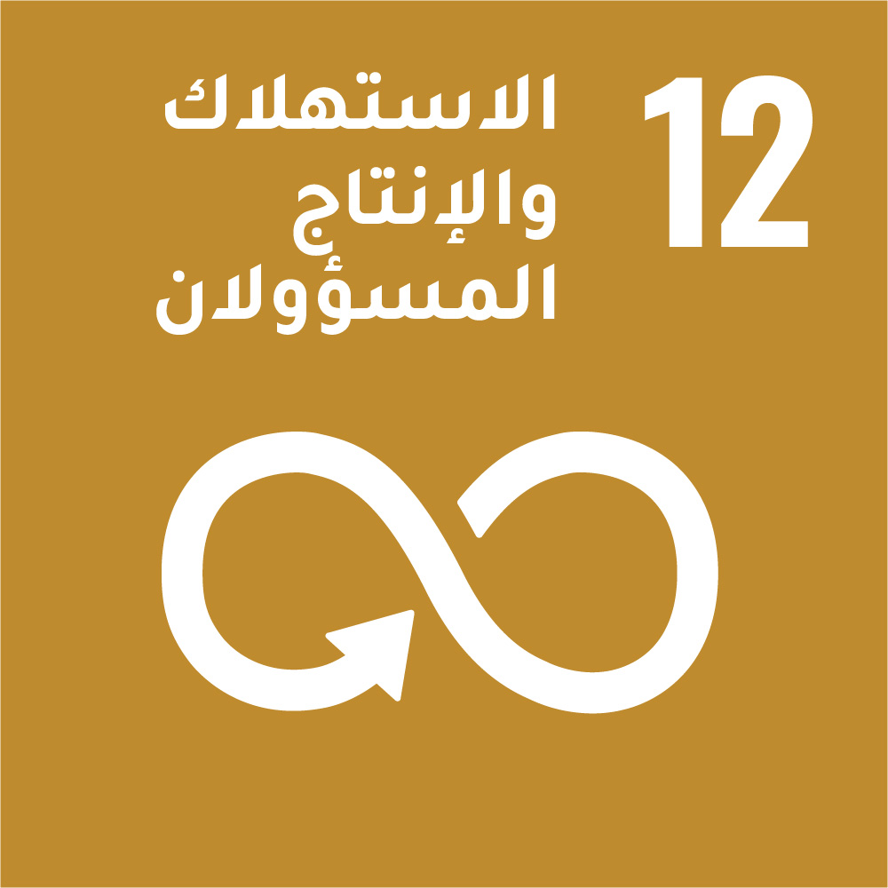 12- الاستهلاك والانتاج المسؤولان