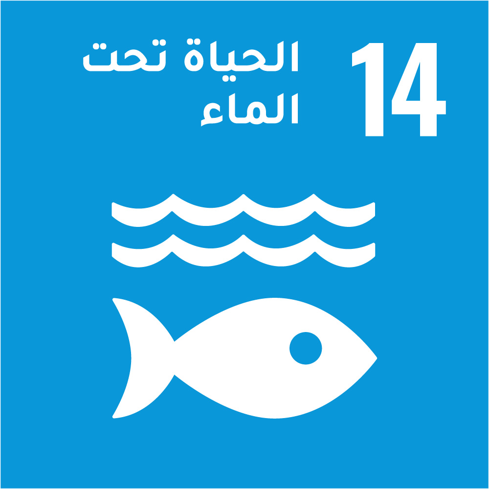 14- الحياة تحت الماء