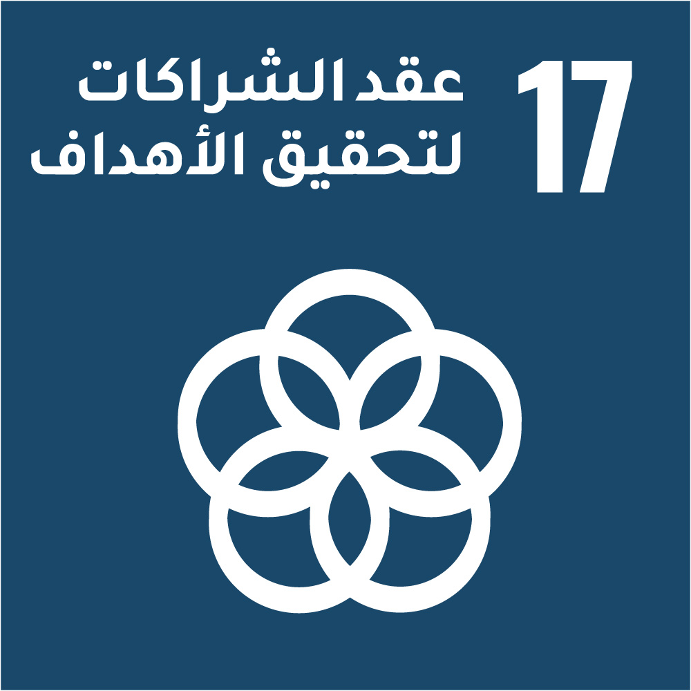 17- عقد الشراكات لتحقيق الاهداف